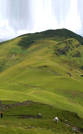 Ali Bedni Bugyal Trek