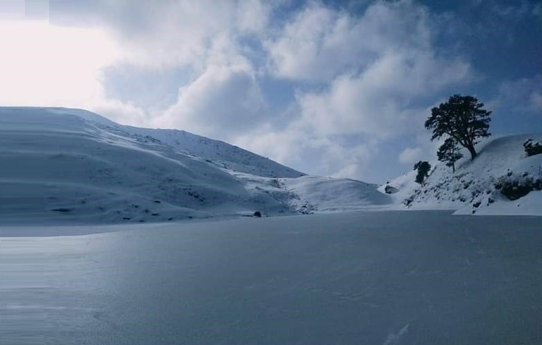 Blog