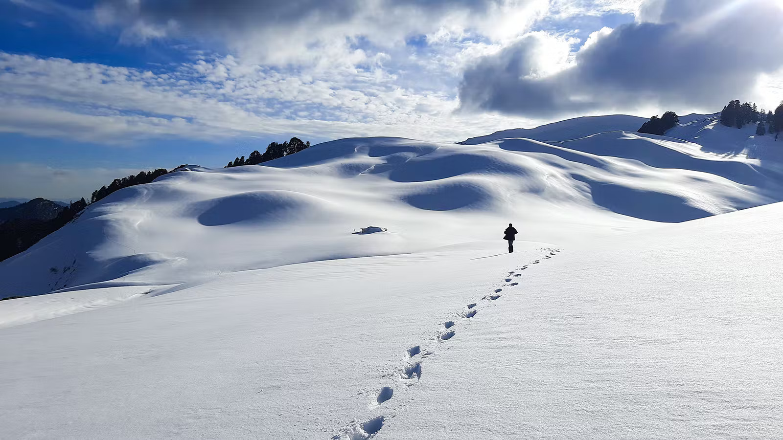 Dayara Bugyal
								Trek