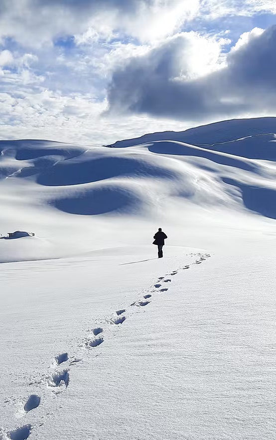 Dayara Bugyal Trek