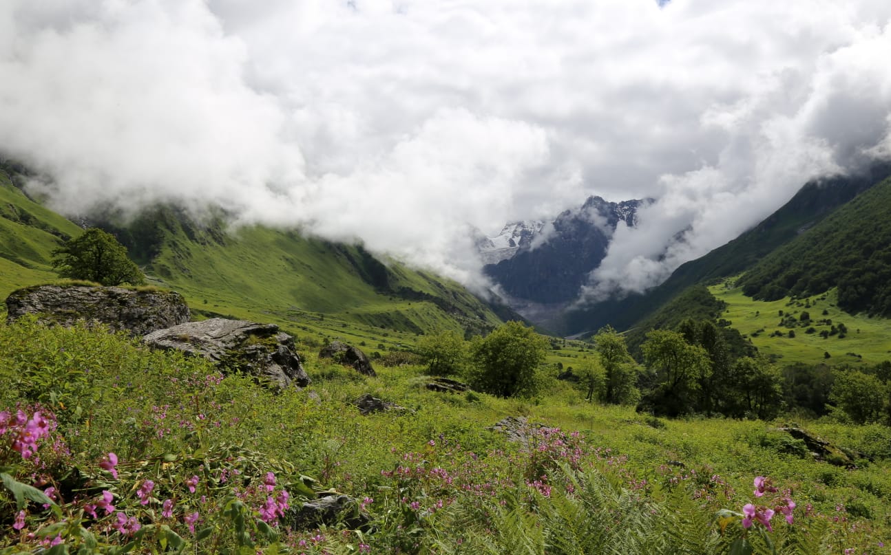 Valley Of Flowers Trek